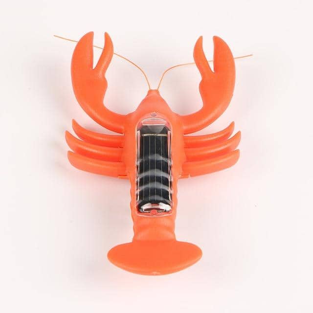 Solcelle Dyr Hummer